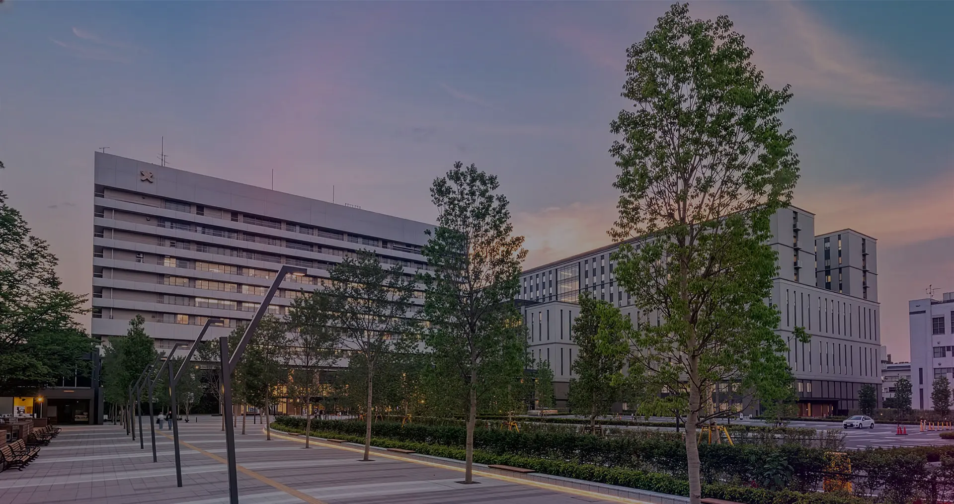 Keio University School of Medicine